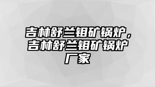 吉林舒蘭鉬礦鍋爐，吉林舒蘭鉬礦鍋爐廠家