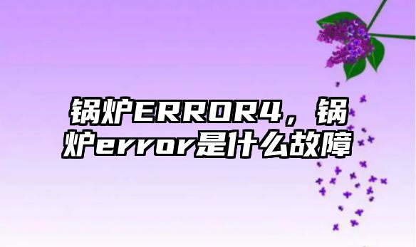 鍋爐ERROR4，鍋爐error是什么故障