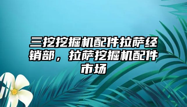 三挖挖掘機配件拉薩經銷部，拉薩挖掘機配件市場