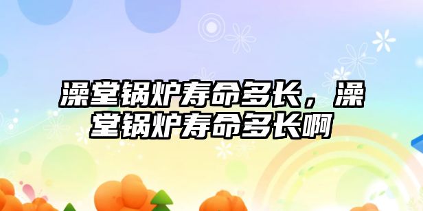 澡堂鍋爐壽命多長，澡堂鍋爐壽命多長啊