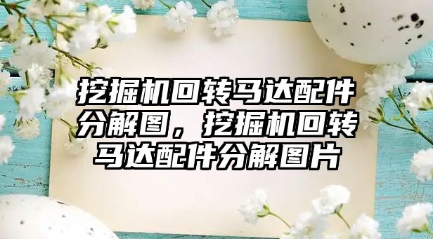 挖掘機回轉(zhuǎn)馬達配件分解圖，挖掘機回轉(zhuǎn)馬達配件分解圖片