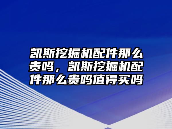 凱斯挖掘機(jī)配件那么貴嗎，凱斯挖掘機(jī)配件那么貴嗎值得買嗎