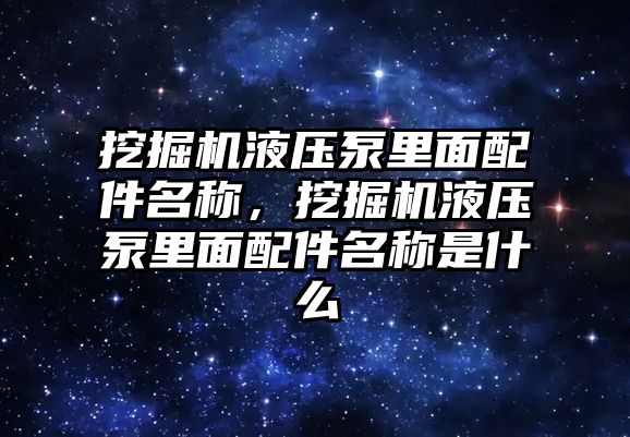 挖掘機液壓泵里面配件名稱，挖掘機液壓泵里面配件名稱是什么