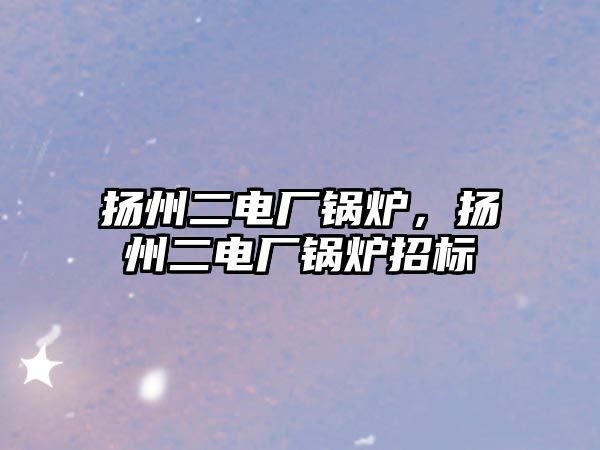 揚州二電廠鍋爐，揚州二電廠鍋爐招標