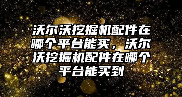 沃爾沃挖掘機配件在哪個平臺能買，沃爾沃挖掘機配件在哪個平臺能買到