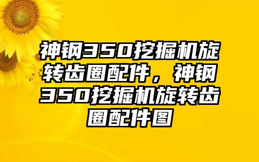 神鋼350挖掘機(jī)旋轉(zhuǎn)齒圈配件，神鋼350挖掘機(jī)旋轉(zhuǎn)齒圈配件圖