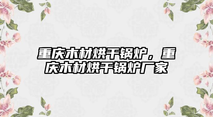 重慶木材烘干鍋爐，重慶木材烘干鍋爐廠家