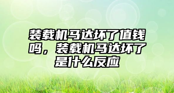 裝載機馬達壞了值錢嗎，裝載機馬達壞了是什么反應(yīng)