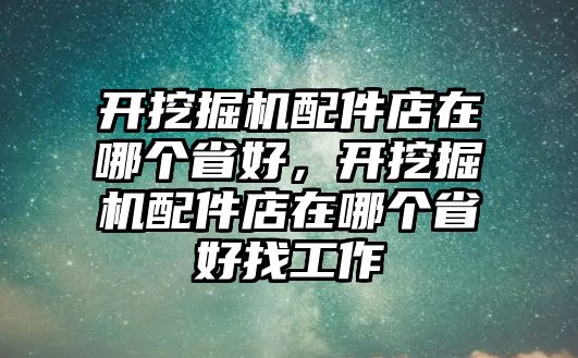 開挖掘機(jī)配件店在哪個(gè)省好，開挖掘機(jī)配件店在哪個(gè)省好找工作