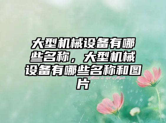 大型機械設(shè)備有哪些名稱，大型機械設(shè)備有哪些名稱和圖片