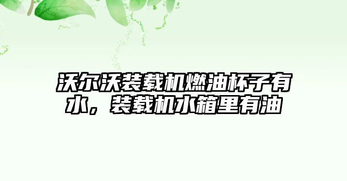 沃爾沃裝載機燃油杯子有水，裝載機水箱里有油