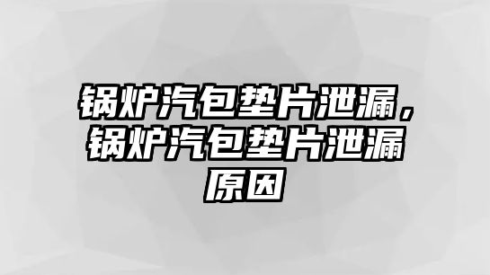 鍋爐汽包墊片泄漏，鍋爐汽包墊片泄漏原因