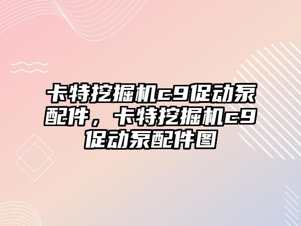 卡特挖掘機c9促動泵配件，卡特挖掘機c9促動泵配件圖