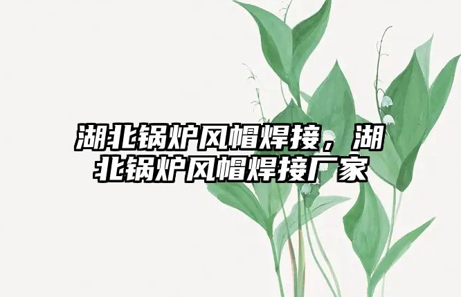 湖北鍋爐風(fēng)帽焊接，湖北鍋爐風(fēng)帽焊接廠家