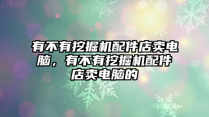 有不有挖掘機(jī)配件店賣電腦，有不有挖掘機(jī)配件店賣電腦的