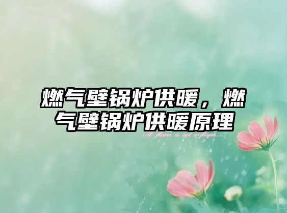 燃?xì)獗阱仩t供暖，燃?xì)獗阱仩t供暖原理