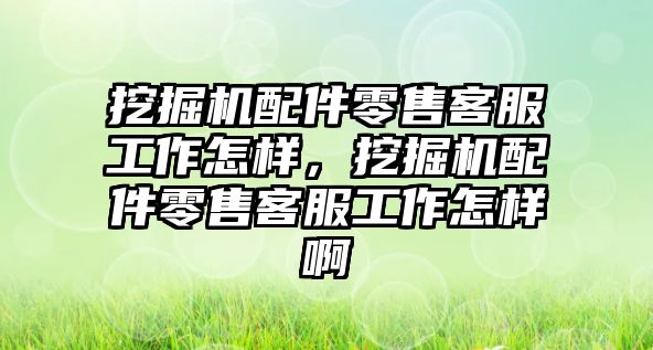 挖掘機配件零售客服工作怎樣，挖掘機配件零售客服工作怎樣啊