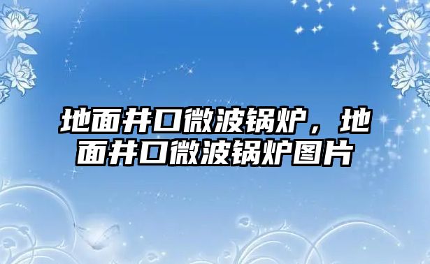 地面井口微波鍋爐，地面井口微波鍋爐圖片