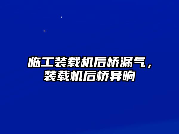 臨工裝載機后橋漏氣，裝載機后橋異響