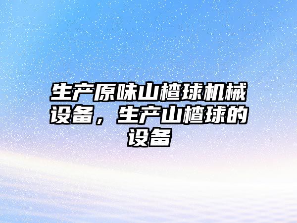 生產原味山楂球機械設備，生產山楂球的設備