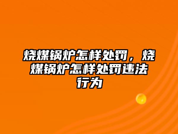 燒煤鍋爐怎樣處罰，燒煤鍋爐怎樣處罰違法行為