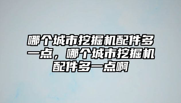 哪個城市挖掘機配件多一點，哪個城市挖掘機配件多一點啊