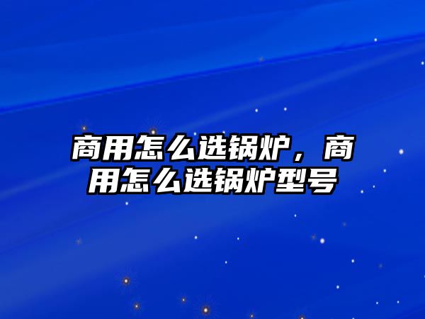 商用怎么選鍋爐，商用怎么選鍋爐型號(hào)