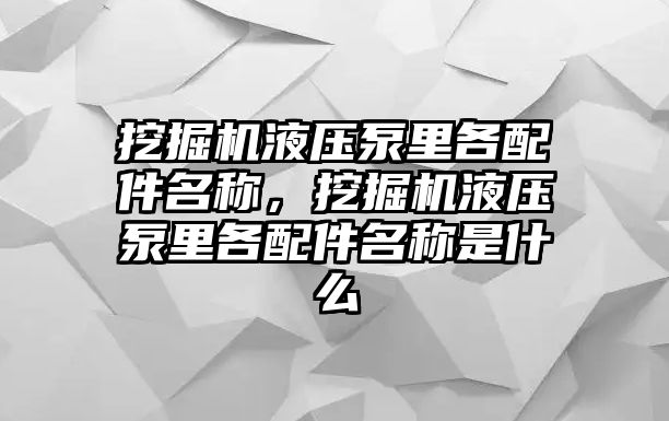 挖掘機液壓泵里各配件名稱，挖掘機液壓泵里各配件名稱是什么