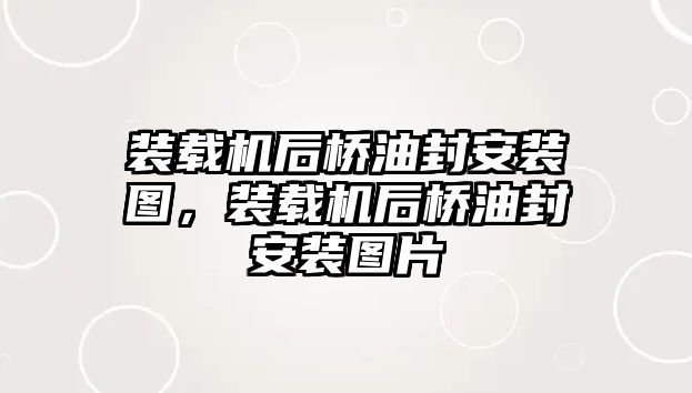 裝載機(jī)后橋油封安裝圖，裝載機(jī)后橋油封安裝圖片