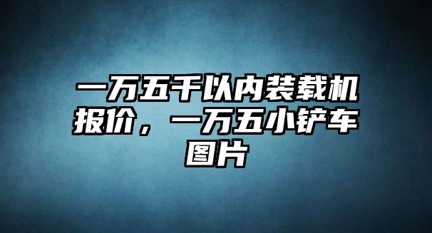 一萬五千以內(nèi)裝載機報價，一萬五小鏟車圖片