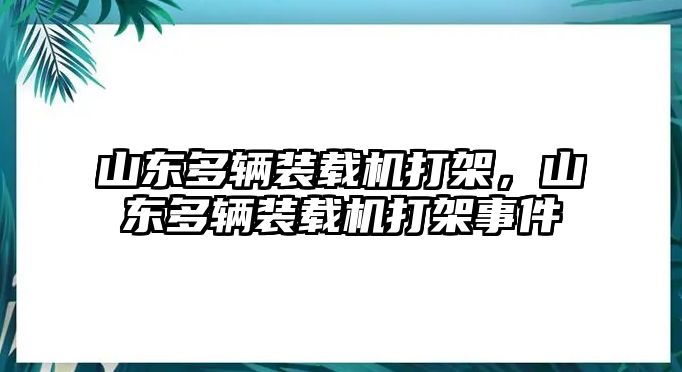 山東多輛裝載機打架，山東多輛裝載機打架事件