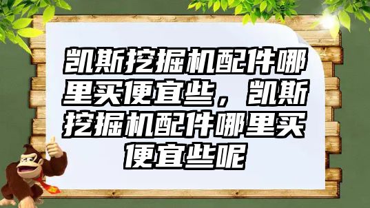 凱斯挖掘機配件哪里買便宜些，凱斯挖掘機配件哪里買便宜些呢