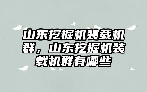 山東挖掘機(jī)裝載機(jī)群，山東挖掘機(jī)裝載機(jī)群有哪些