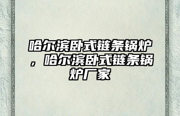 哈爾濱臥式鏈條鍋爐，哈爾濱臥式鏈條鍋爐廠家