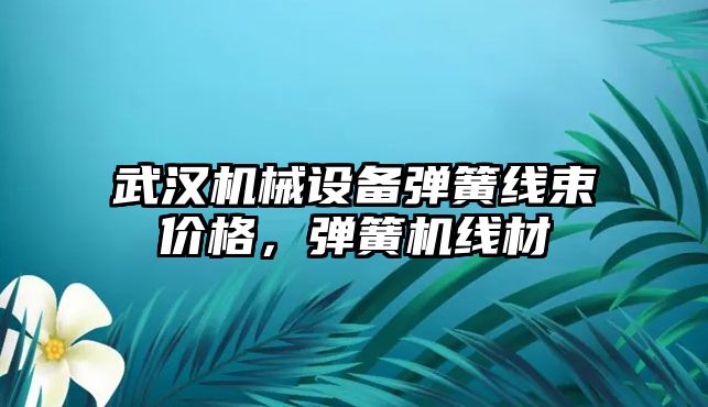 武漢機械設(shè)備彈簧線束價格，彈簧機線材