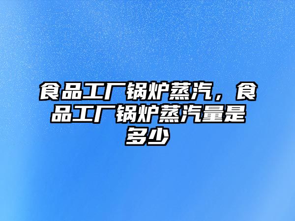 食品工廠鍋爐蒸汽，食品工廠鍋爐蒸汽量是多少