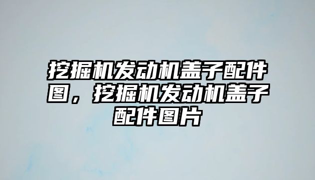 挖掘機發(fā)動機蓋子配件圖，挖掘機發(fā)動機蓋子配件圖片