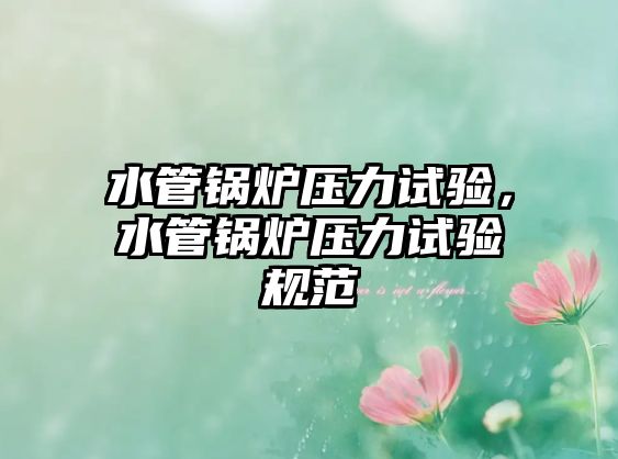 水管鍋爐壓力試驗，水管鍋爐壓力試驗規(guī)范