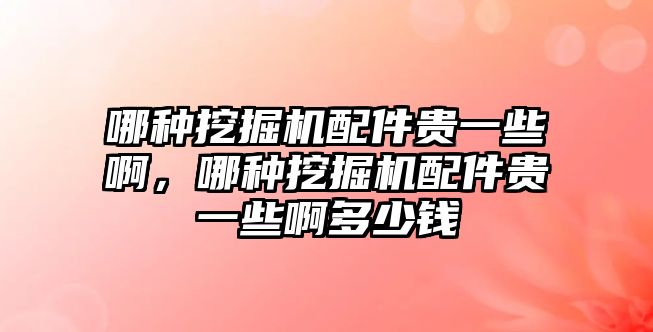 哪種挖掘機(jī)配件貴一些啊，哪種挖掘機(jī)配件貴一些啊多少錢