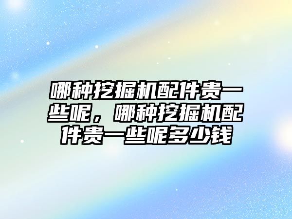 哪種挖掘機(jī)配件貴一些呢，哪種挖掘機(jī)配件貴一些呢多少錢