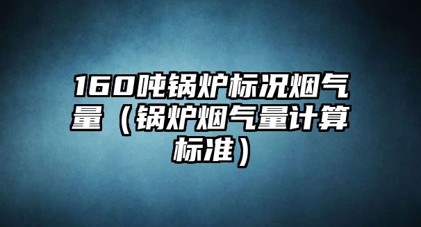 160噸鍋爐標況煙氣量（鍋爐煙氣量計算標準）