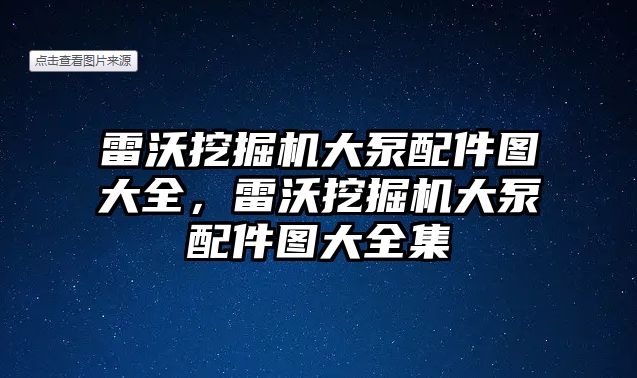 雷沃挖掘機大泵配件圖大全，雷沃挖掘機大泵配件圖大全集