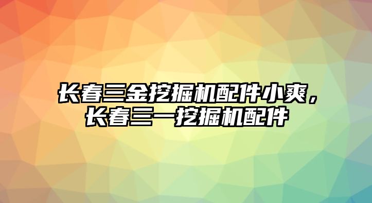 長春三金挖掘機配件小爽，長春三一挖掘機配件