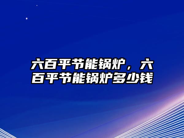 六百平節(jié)能鍋爐，六百平節(jié)能鍋爐多少錢