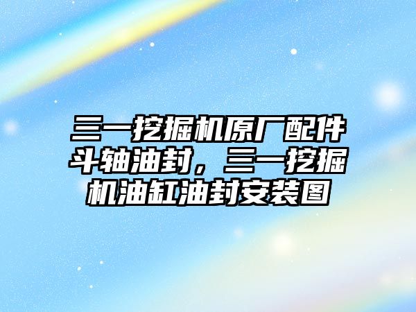 三一挖掘機(jī)原廠配件斗軸油封，三一挖掘機(jī)油缸油封安裝圖