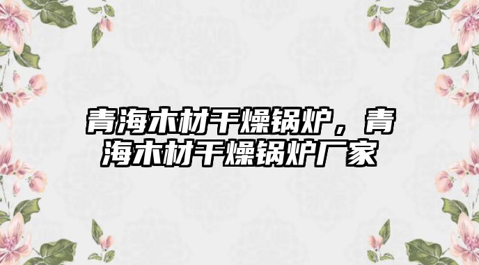 青海木材干燥鍋爐，青海木材干燥鍋爐廠家