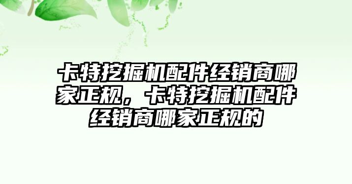 卡特挖掘機(jī)配件經(jīng)銷商哪家正規(guī)，卡特挖掘機(jī)配件經(jīng)銷商哪家正規(guī)的