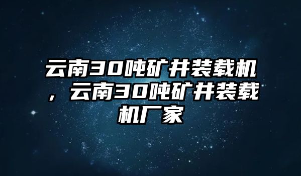 云南30噸礦井裝載機(jī)，云南30噸礦井裝載機(jī)廠家