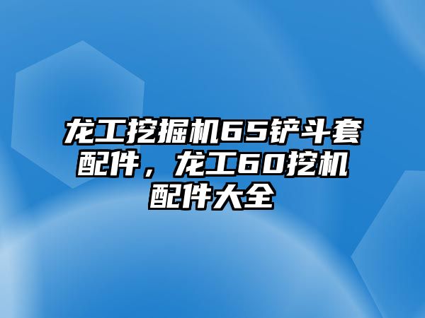 龍工挖掘機(jī)65鏟斗套配件，龍工60挖機(jī)配件大全