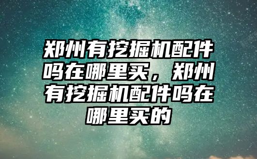 鄭州有挖掘機配件嗎在哪里買，鄭州有挖掘機配件嗎在哪里買的